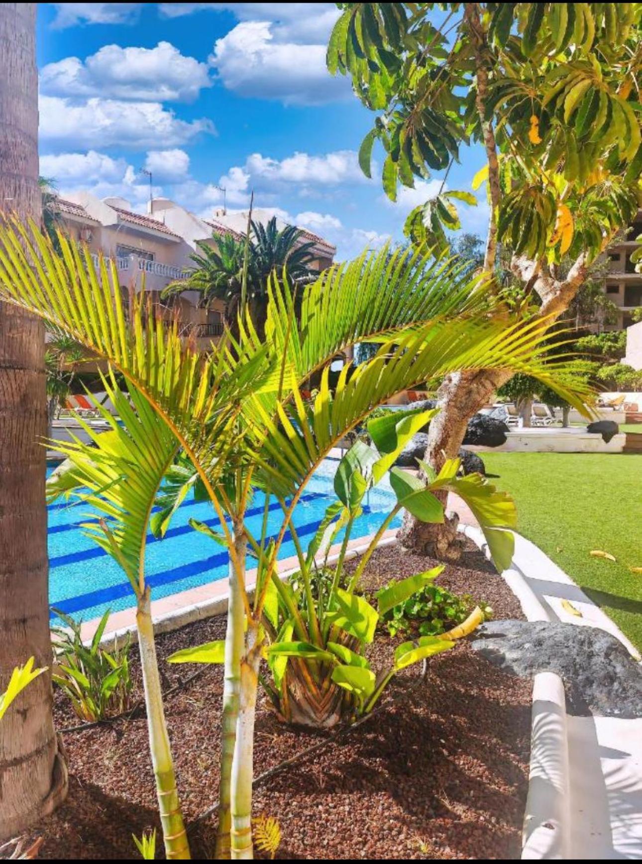 Heart And Soul Apartment San Miguel de Abona Luaran gambar